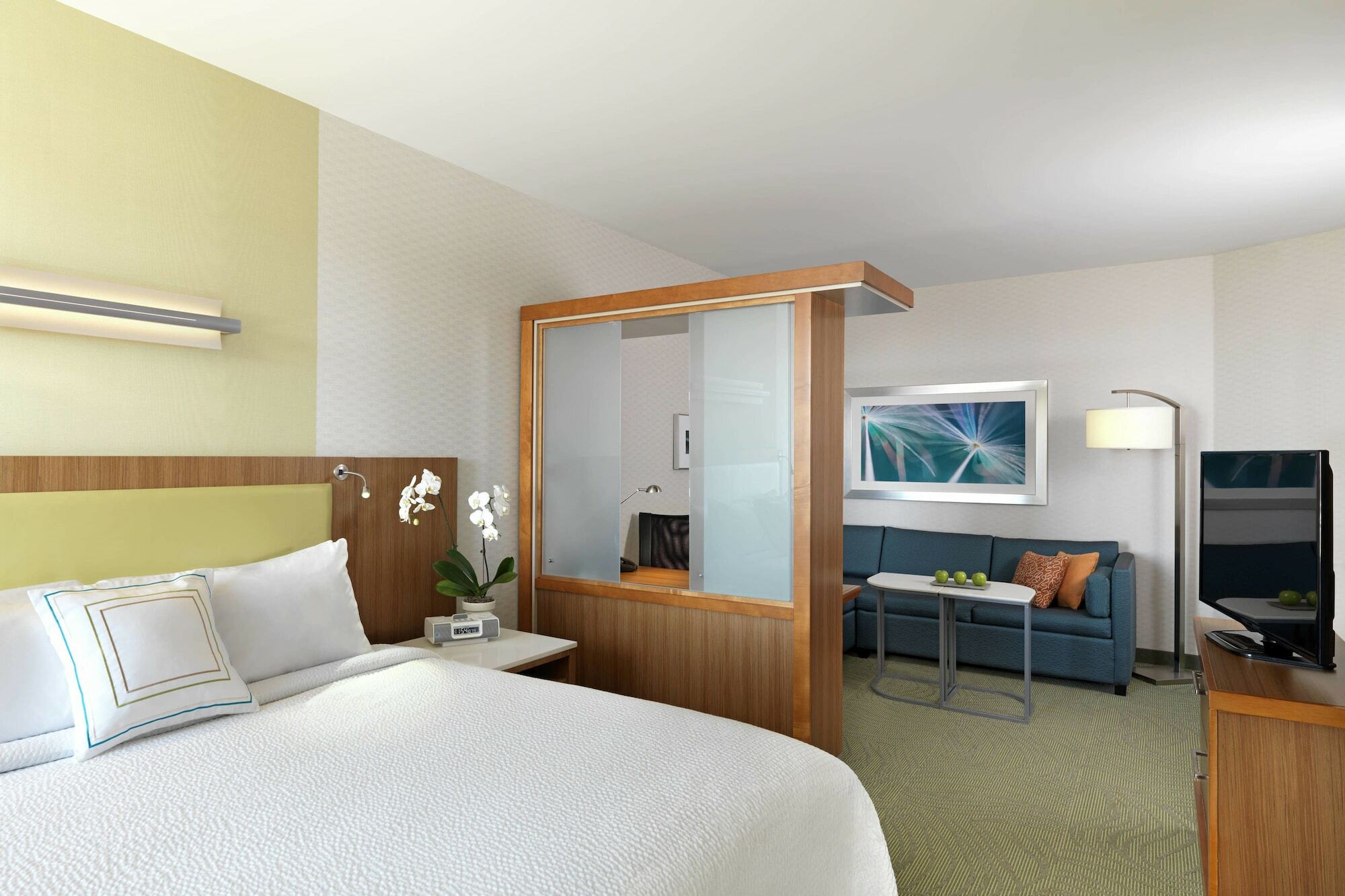 Springhill Suites By Marriott Kansas City Lenexa/City Center Экстерьер фото